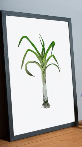 Leek Vegetable Print